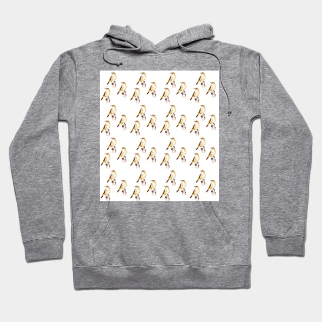 Nightingale bird pattern Hoodie by IslesArt